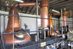 Daftmill-Stills
