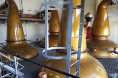 Glenallachie_2018_042