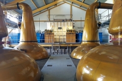 Glenallachie_2018_045