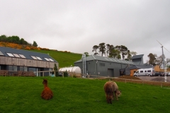 GlenWyvis_022