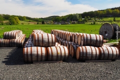 Lindores_Abbey_038
