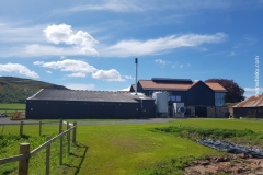 Lindores_Abbey_049