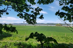 Lindores_Abbey_054