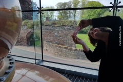 Lindores_Abbey_069