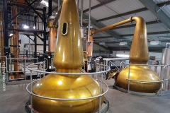 Penderyn_Distillery_15