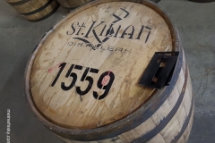 St_Kilian_37